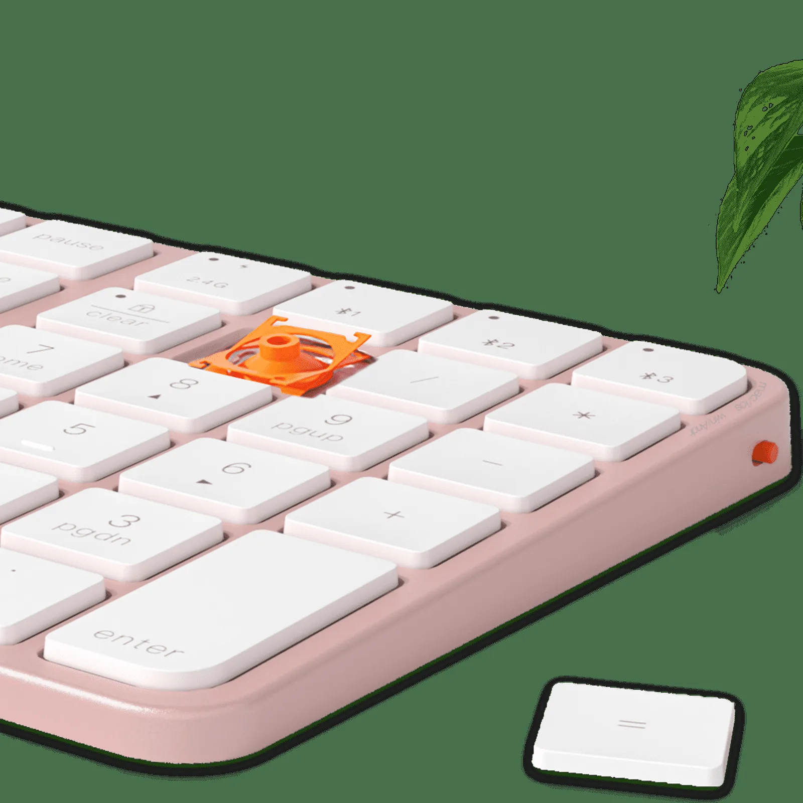 Convenient Accessories