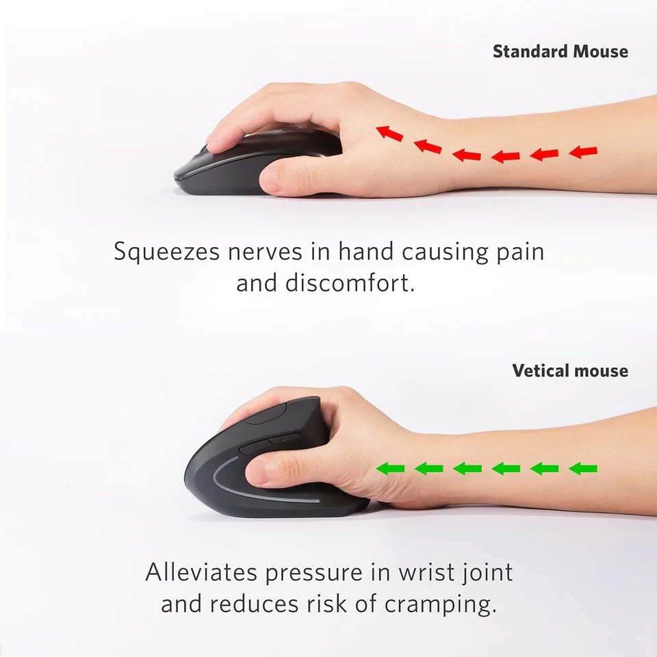 Exploring the Differences of Right-Handed and Left-Handed Mice 2